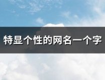 好看个性的网名,网名彰显个性风采