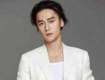 娱乐吃瓜君石头男星,娱乐吃瓜君揭秘娱乐圈神秘石头男星背后的故事