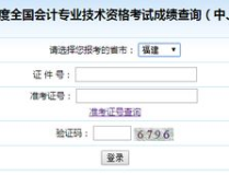 福建会计成绩查询,便捷流程与常见问题解答