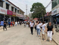名字网,揭秘名字网背后的奥秘